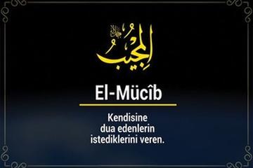 EL-MUCÎB