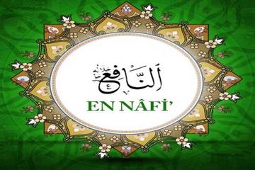 EN-NÂFİ